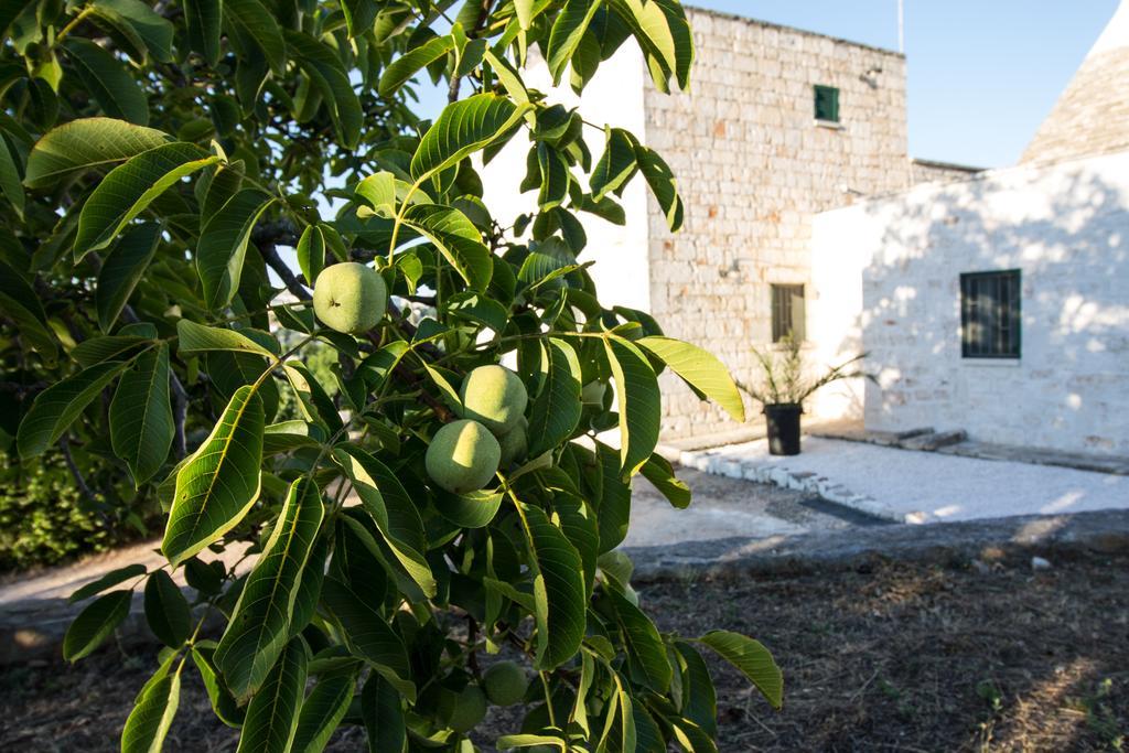 Maison Milleottocento Cisternino Exteriér fotografie