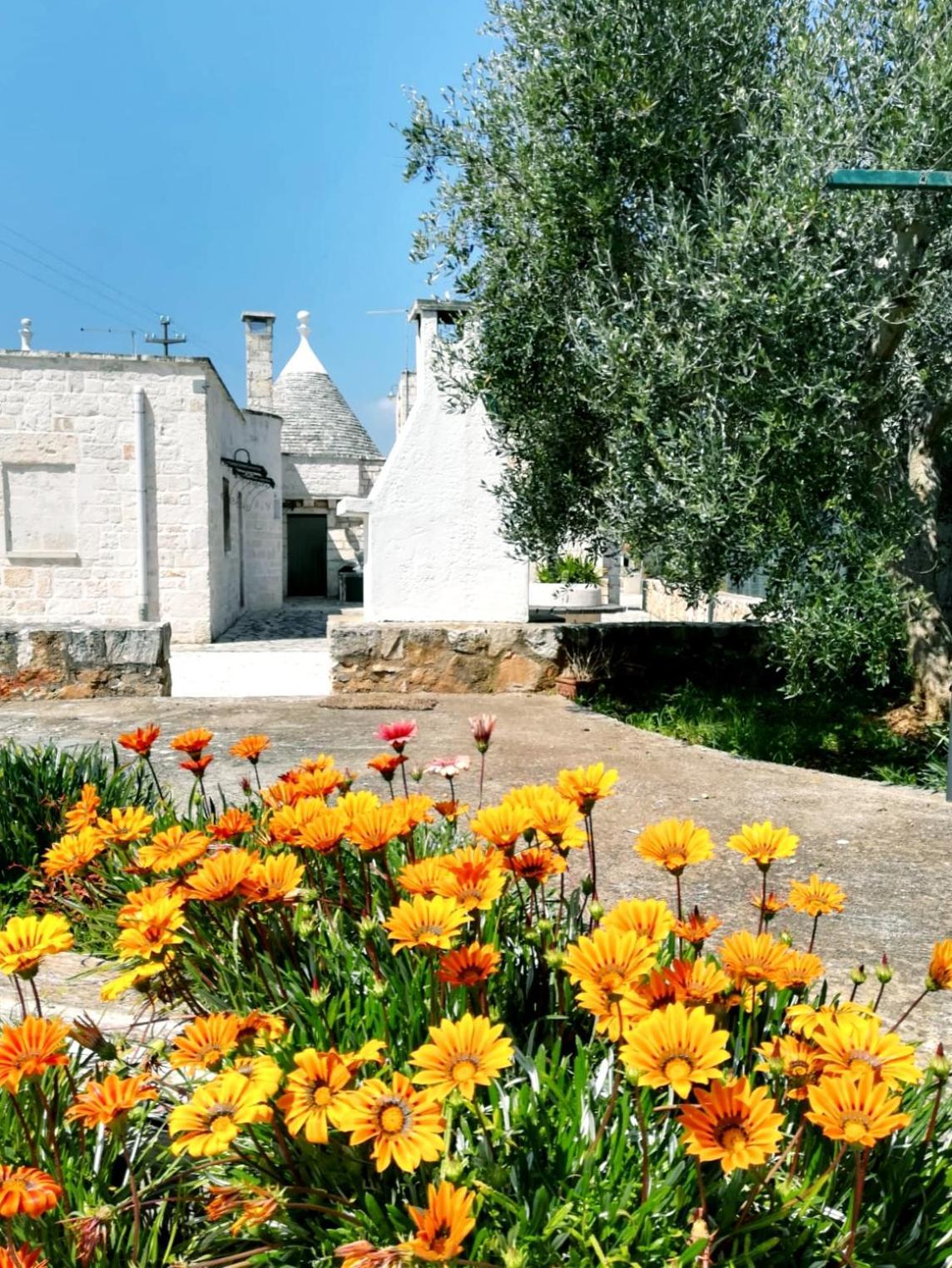 Maison Milleottocento Cisternino Exteriér fotografie